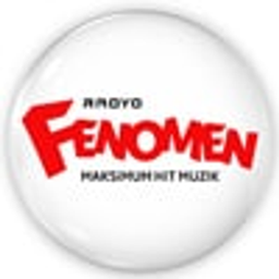Fenomen Dans 256 logosu